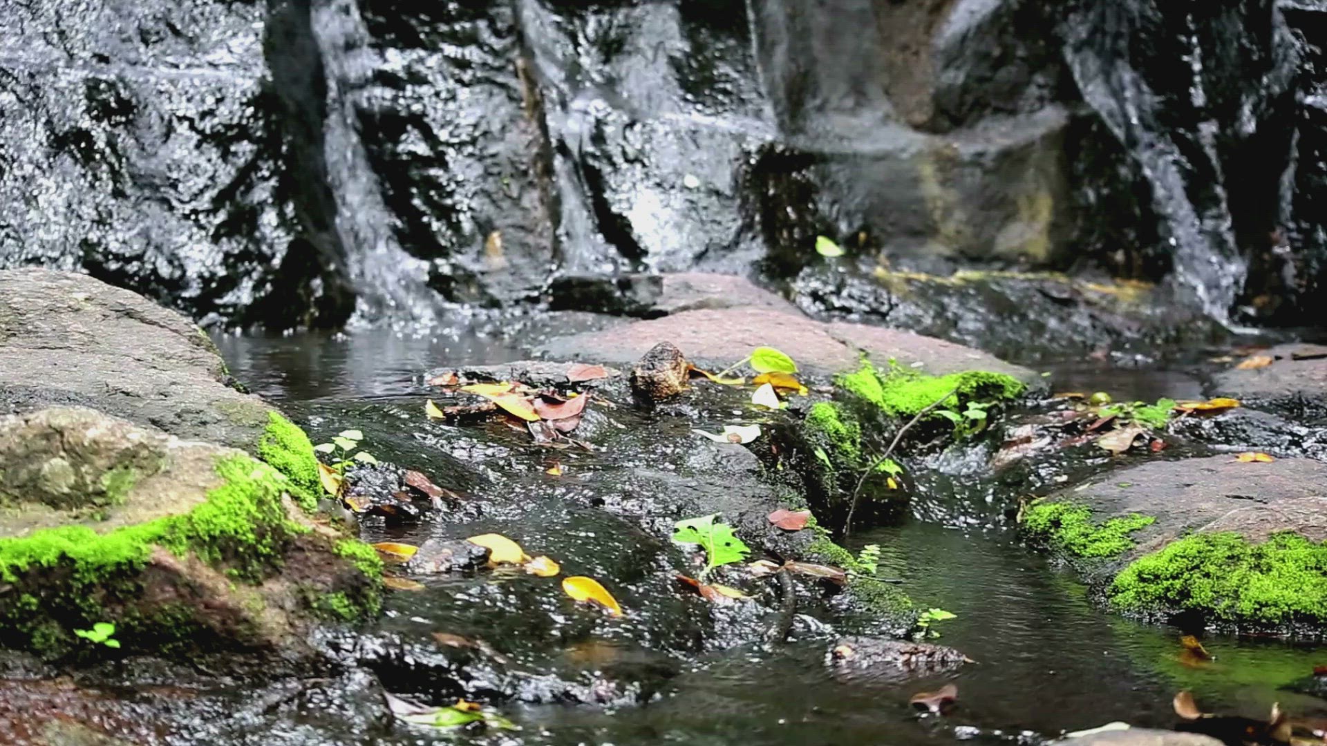 Video thumbnail for The Outdoors