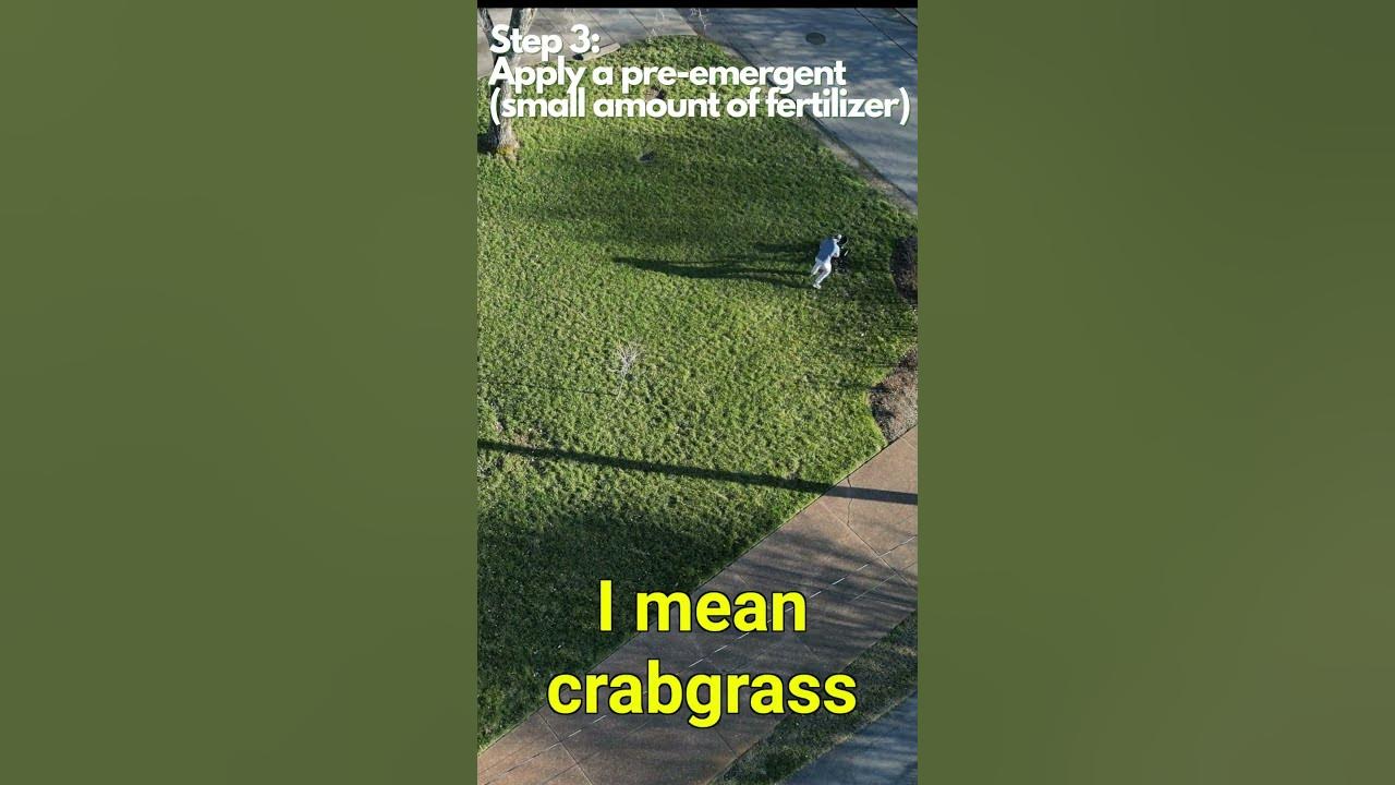 'Video thumbnail for How To Prepare Lawn For Spring: FUNDAMENTALS'