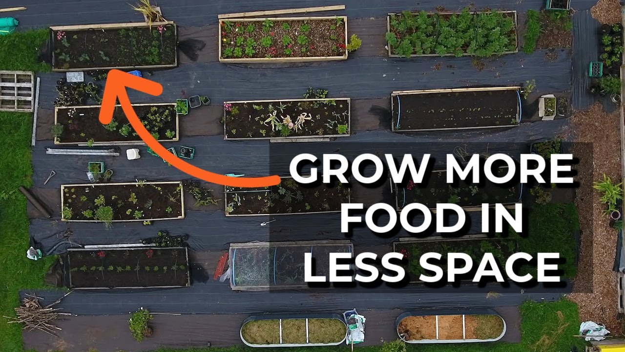 Video thumbnail for How to grow MORE food in your garden | Key ideas for self-sufficiency