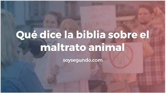 Video thumbnail for Qué dice la biblia sobre el maltrato animal