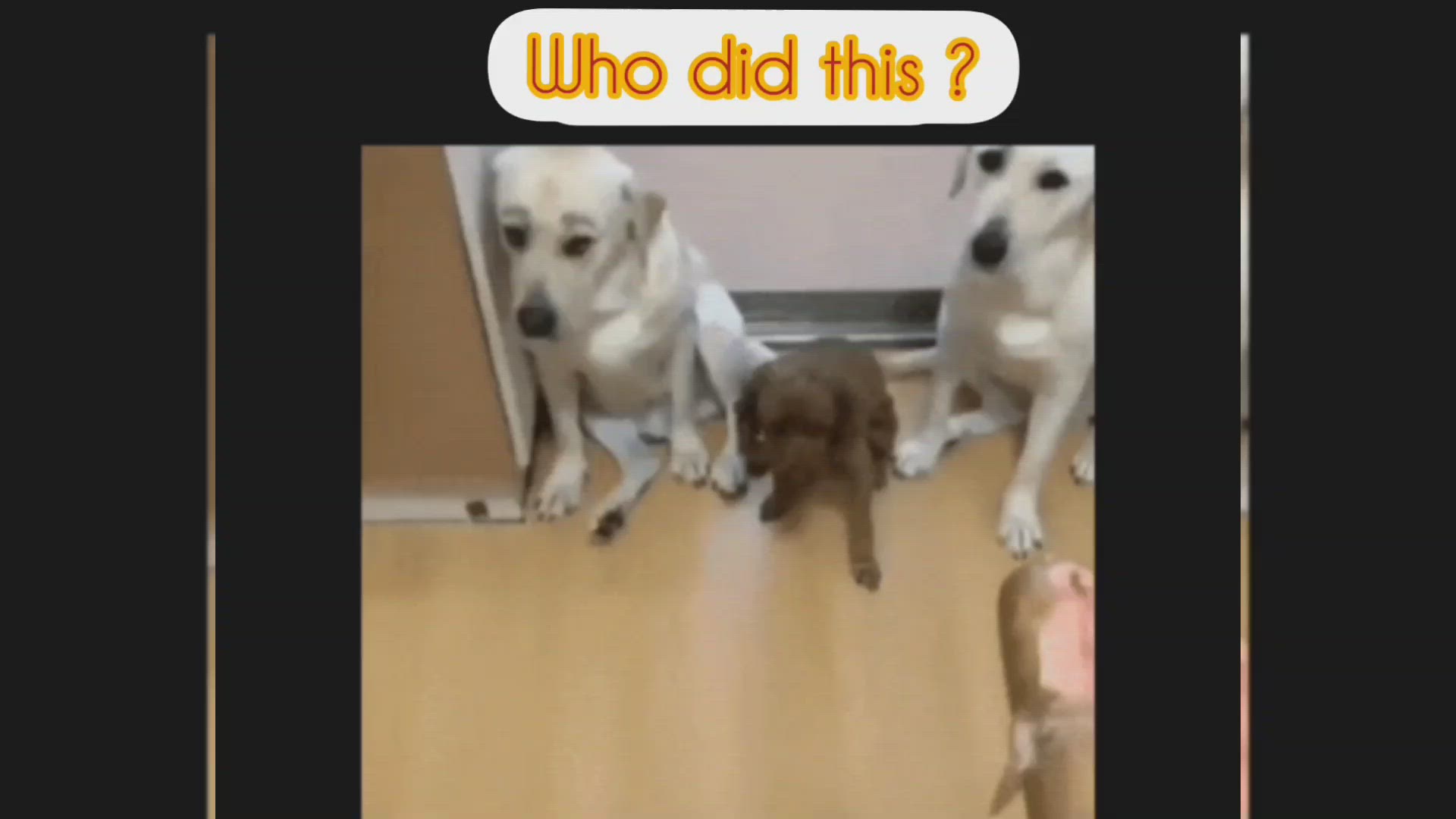 'Video playlist thumbnail'