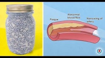 Video thumbnail for Health Benefits of Eating Oatmeal and Chia Seeds for Breakfast