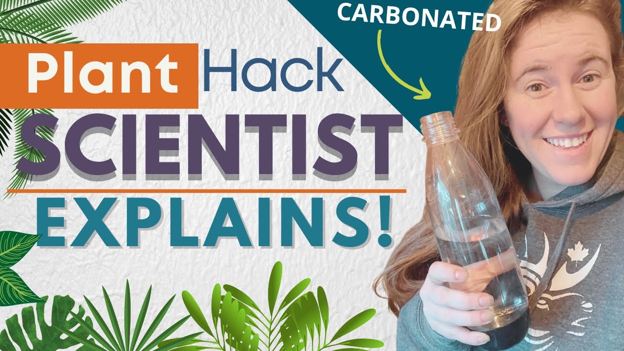 Video thumbnail for Can You Water Plants With Carbonated Water? Soil Scientist Explains Why Plants Like Carbonated Water