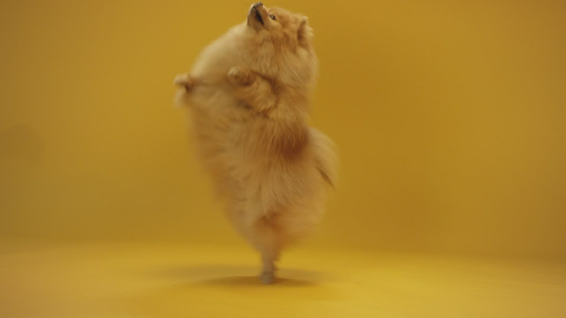 'Video playlist thumbnail'