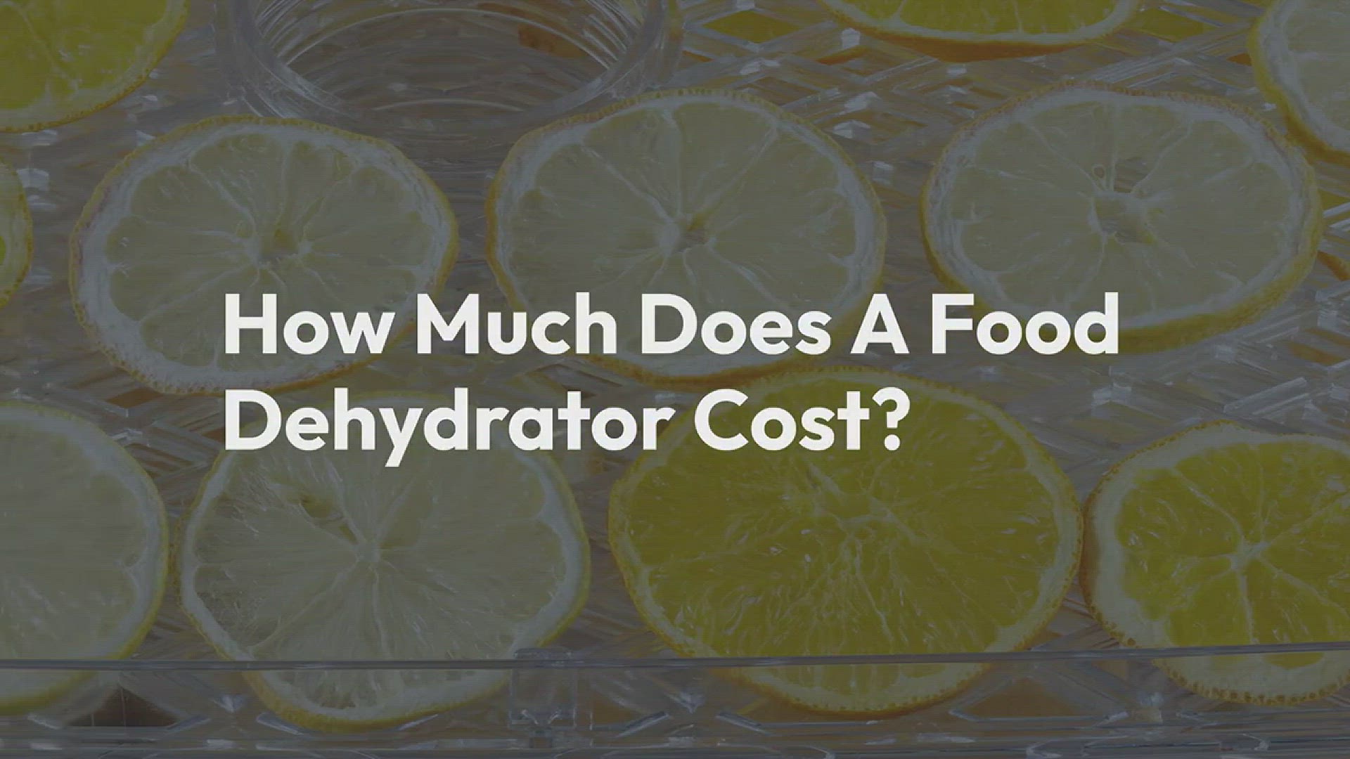Video thumbnail for How Much Does A Food Dehydrator Cost? (In-Depth Buying Guide)