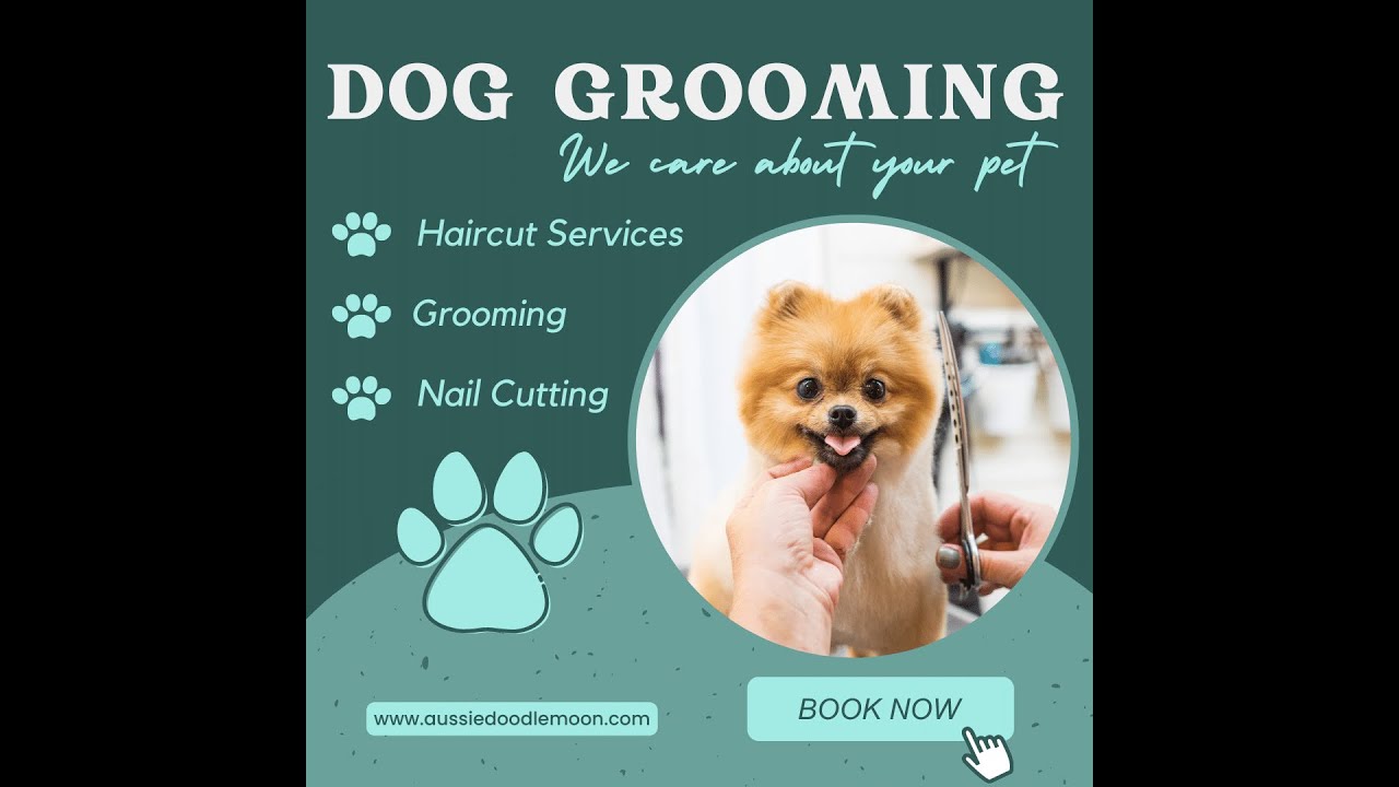 Video thumbnail for Aussiedoodle haircut styles | Styles for Aussiedoodles, Labradoodles, Goldendoodles & Bernedoodles