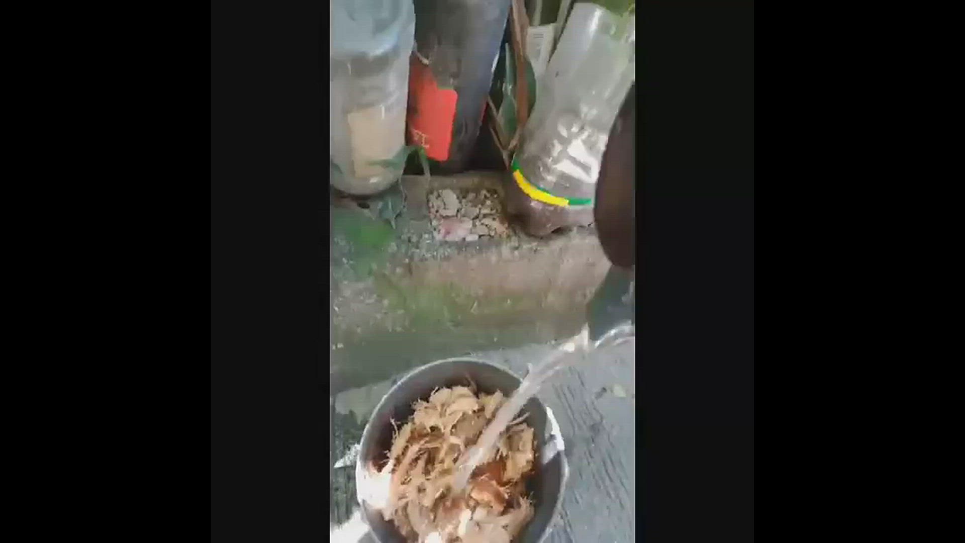 Video thumbnail for Repotting orchids