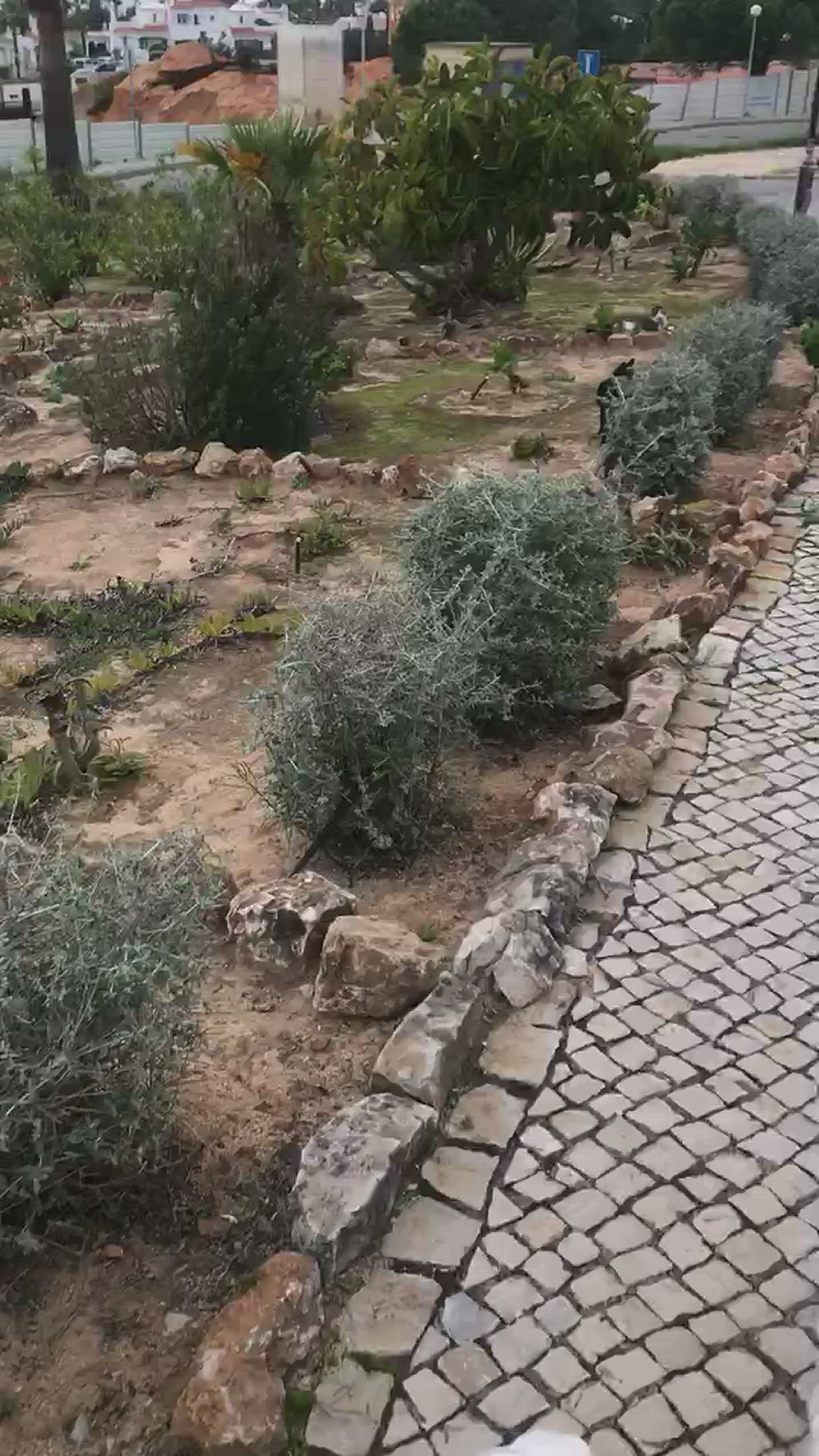 Video thumbnail for Cats Find Us Even When we Sneak Out