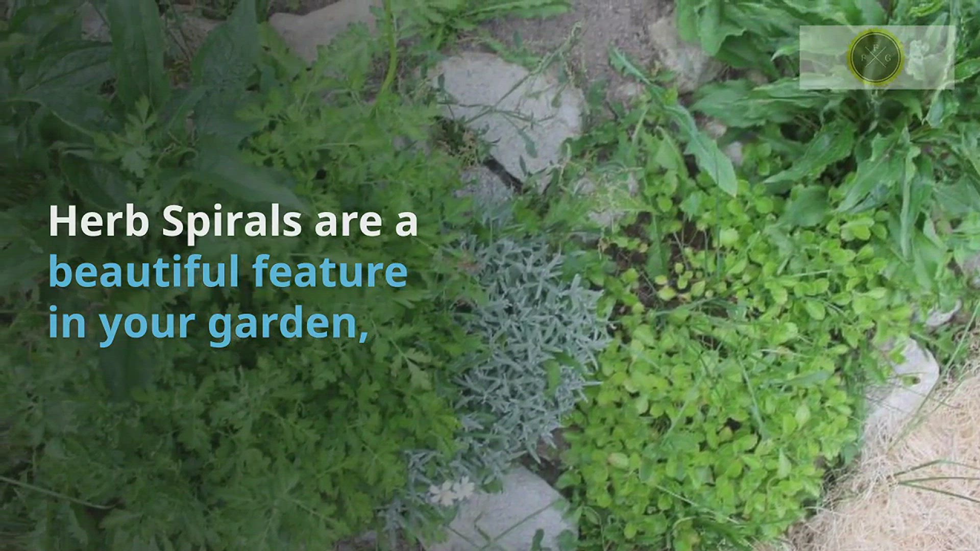 Video thumbnail for Herb Spiral