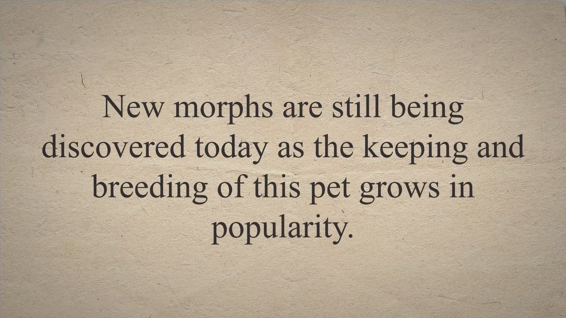 Video thumbnail for Axolotl Color Morphs: 15 Types With Pictures