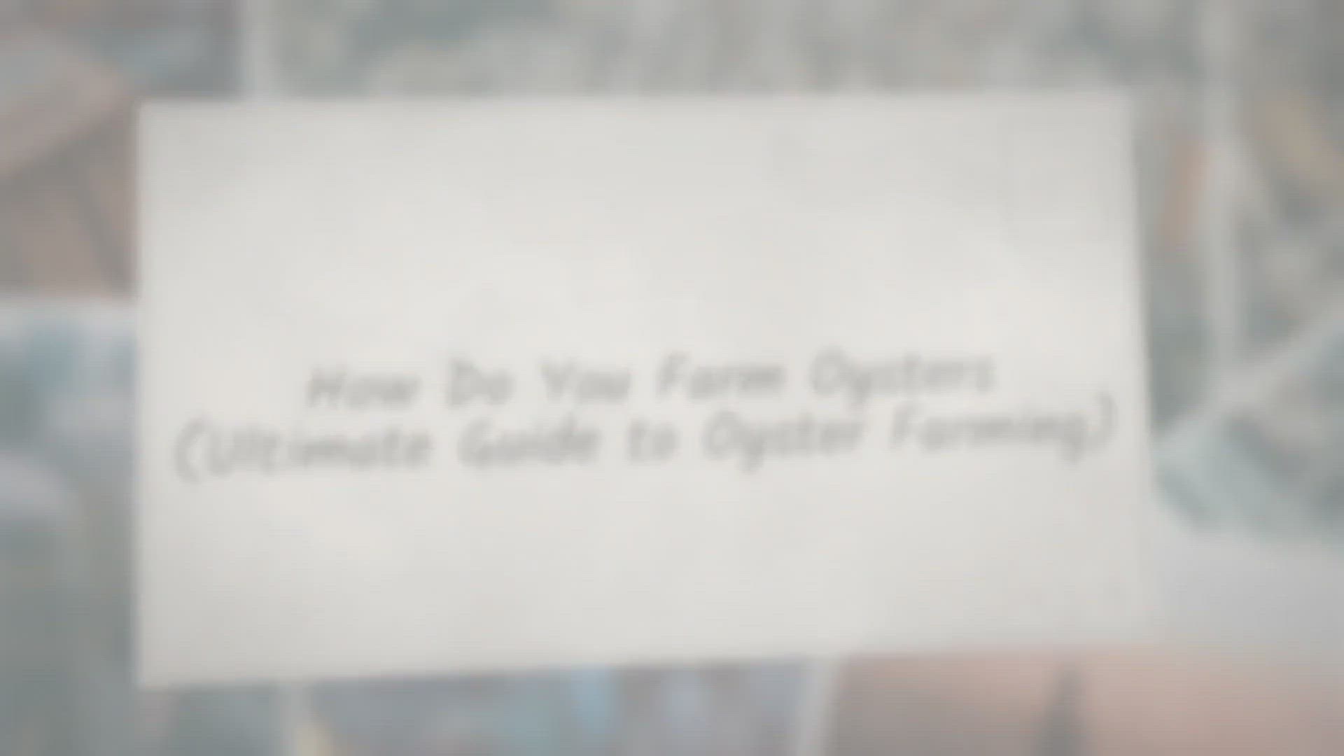 Video thumbnail for How Do You Farm Oysters (Ultimate Guide To Oyster Farming)