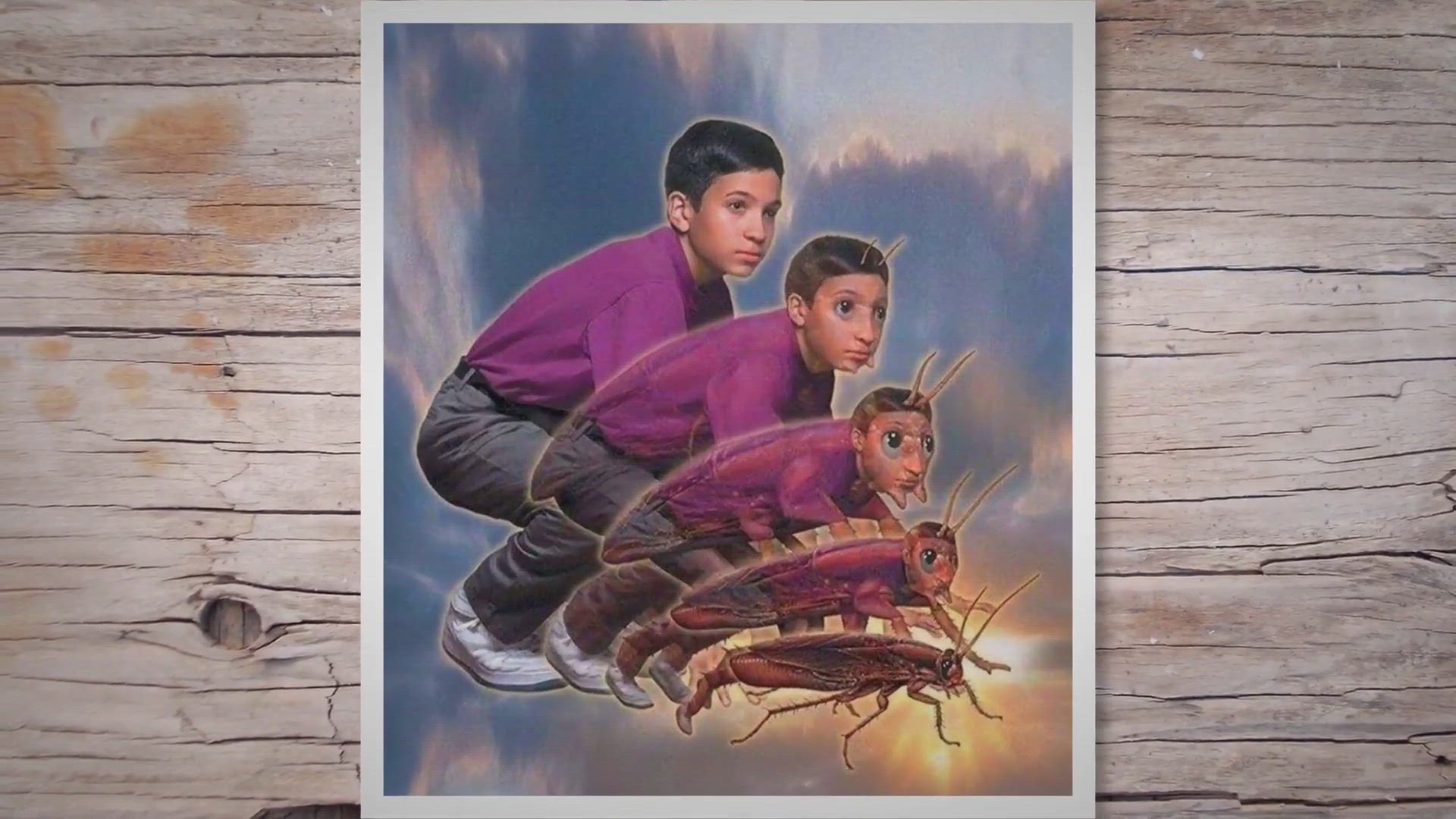 Video thumbnail for Do You Remember 90s Animorphs?