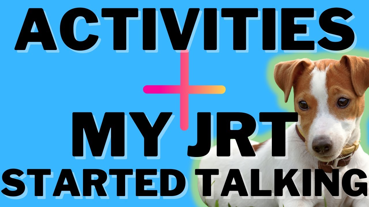 Video thumbnail for Activities For Jack Russell Terriers (+ Luna Found Her Voice And Wants To Chat Today)!