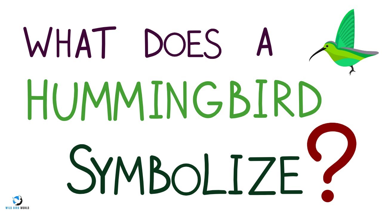 'Video thumbnail for What Does It Mean When You See A Hummingbird?'