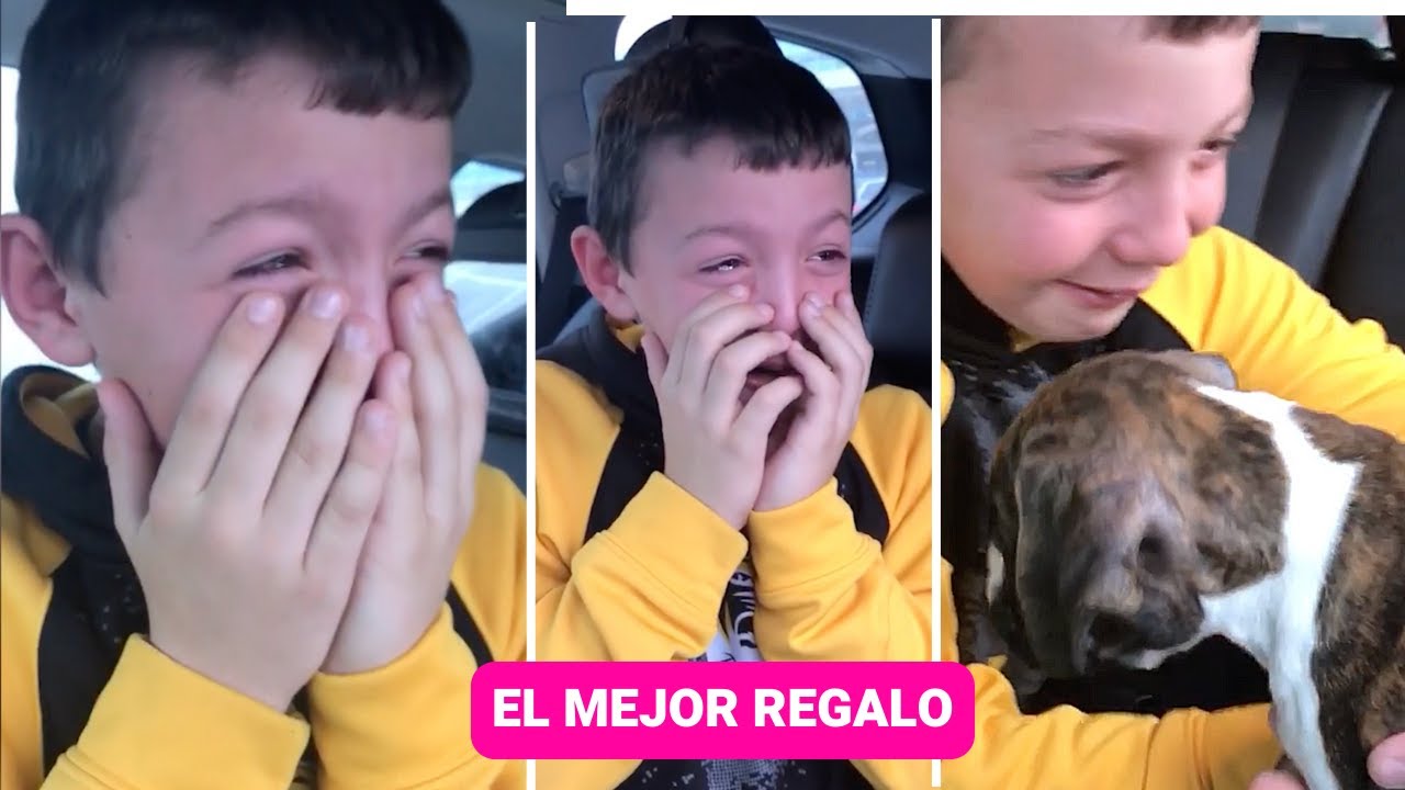 Video thumbnail for Cachorro de regalo en Navidad conmueve a las lágrimas a un niño ??