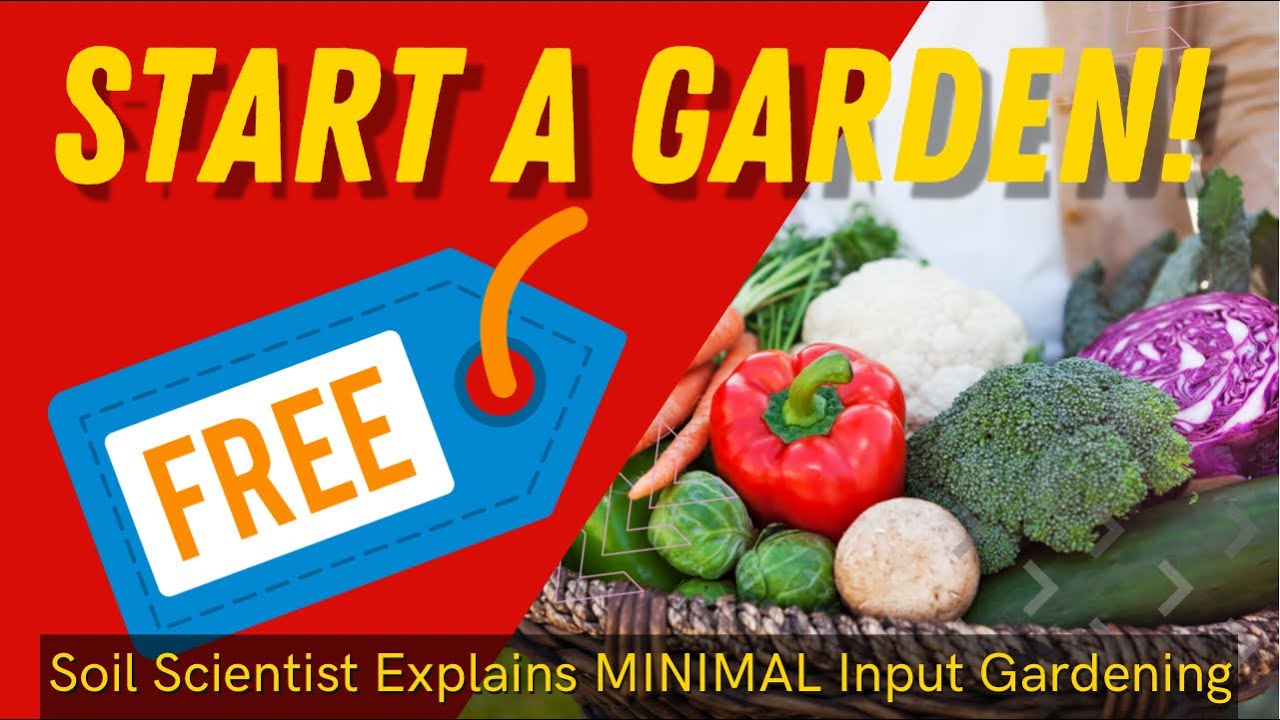 Video thumbnail for Starting A Productive Garden For Under $30. Gardening Does Not Need To Be Expensive! Save Money 💰