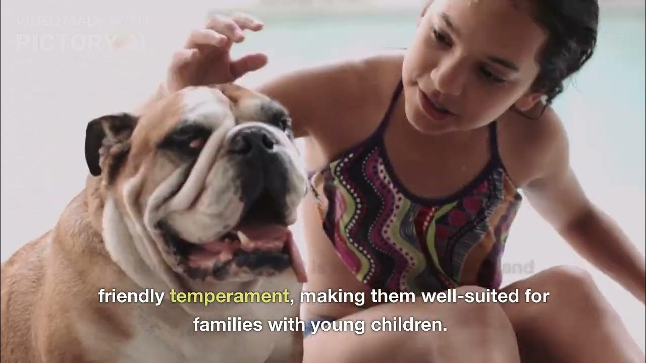 Video thumbnail for Top 5 Dog breeds for family