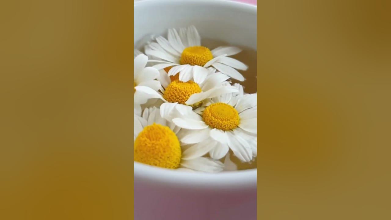 'Video thumbnail for Lose Weight the Delicious Way with Camomile Tea #shorts'