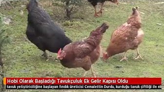 Video thumbnail for Hobi Olarak Başladığı Tavukçuluk Ek Gelir Kapısı Oldu