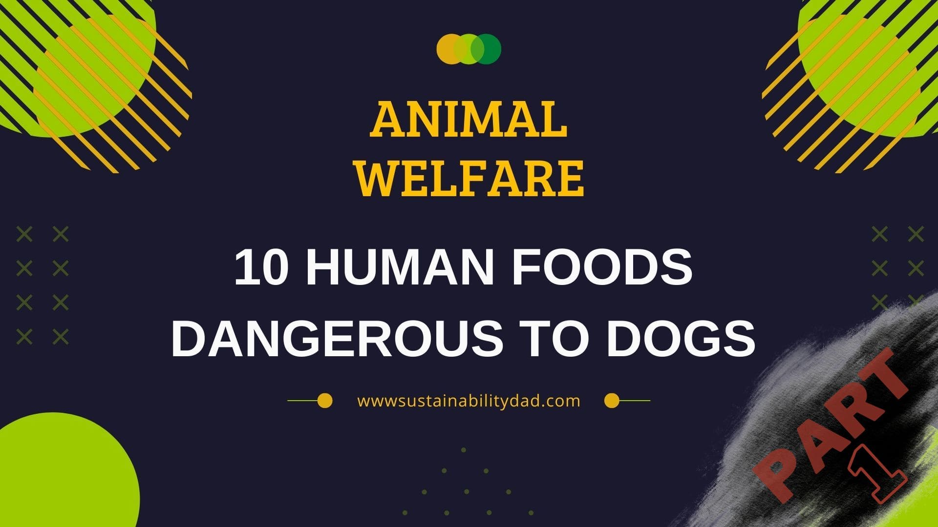 Video thumbnail for 10 human foods dangerous for dogs (video 1)