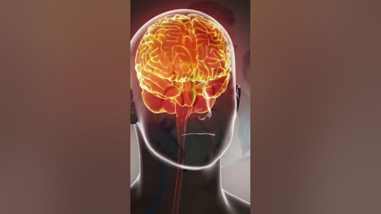 'Video thumbnail for Toxoplasmosis of the Brain: A Serious Condition #shorts'