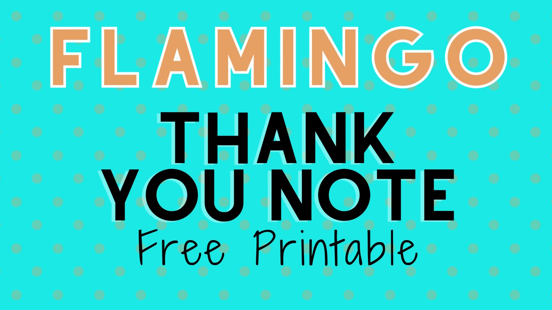'Video thumbnail for flamingo thank you humix video'