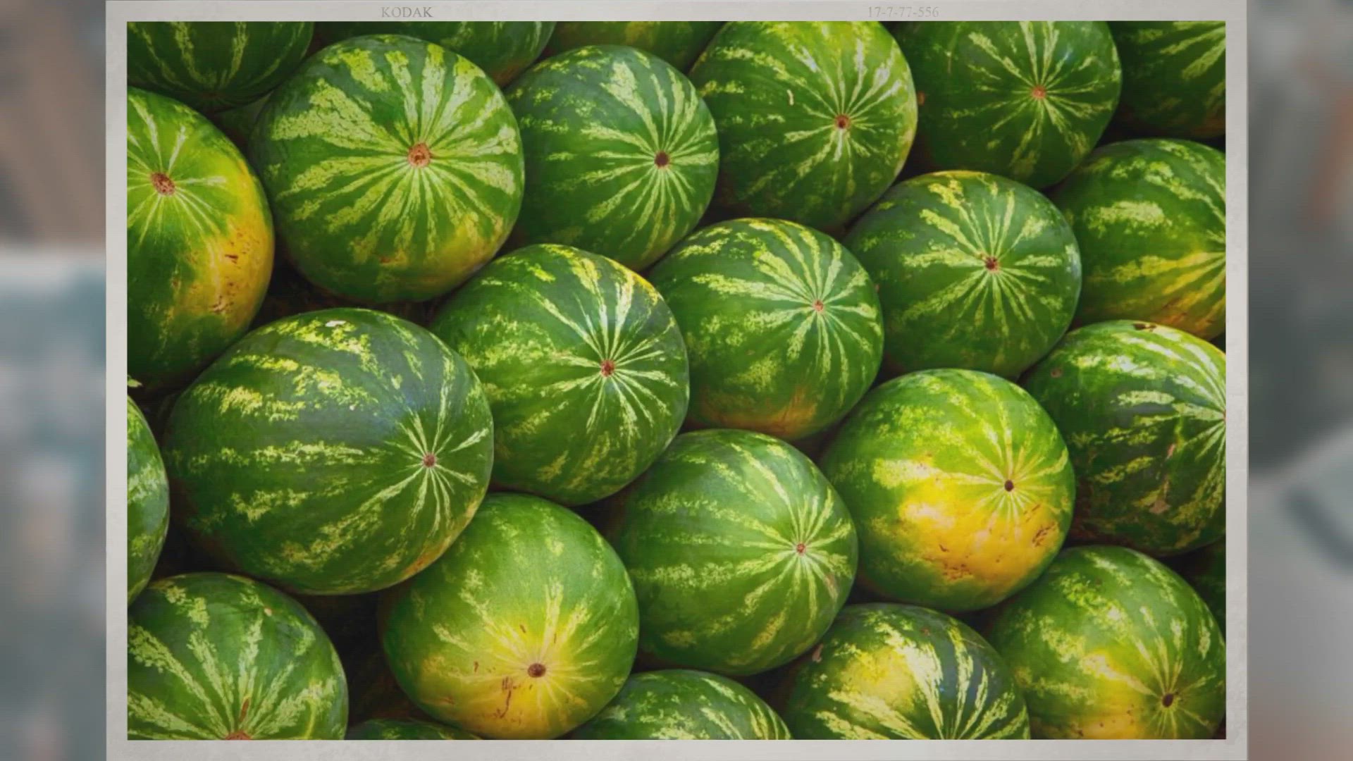 Video thumbnail for Can Watermelons Go Bad?