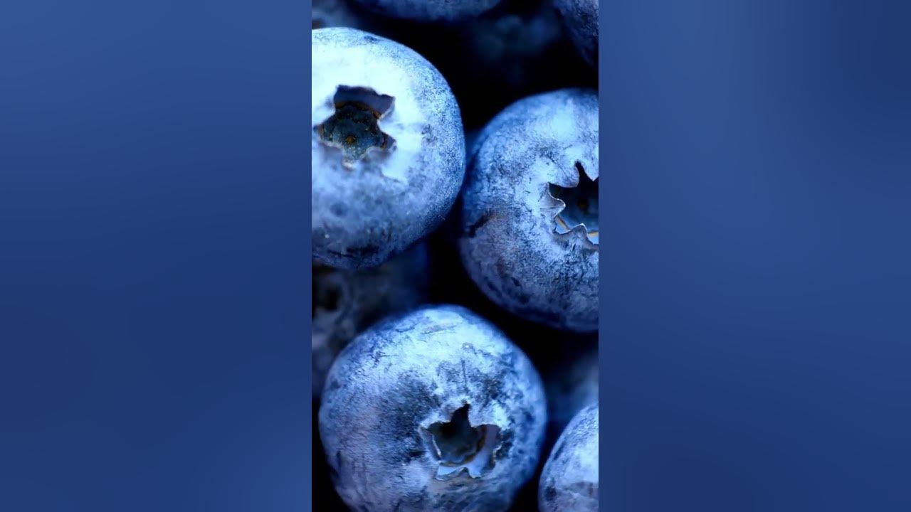 'Video thumbnail for The Colors of Good Health: The Many Benefits of Anthocyanins #shorts'