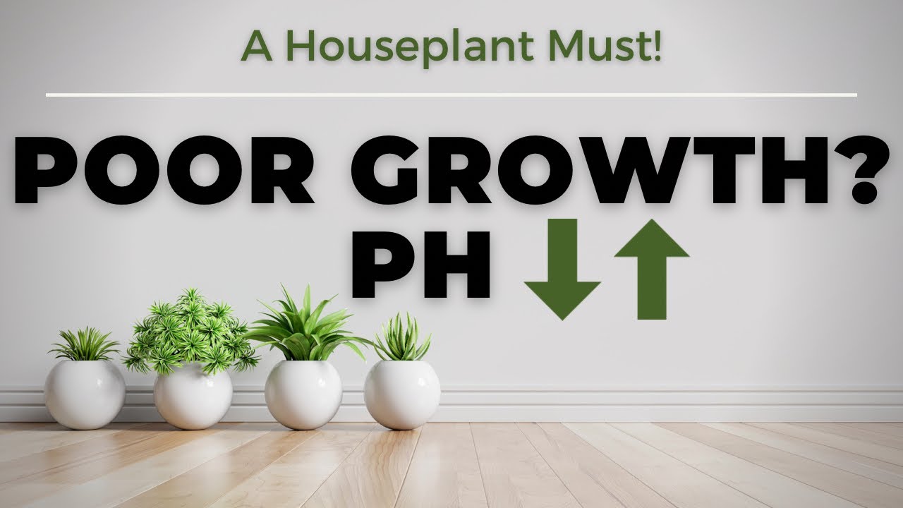 Video thumbnail for How To Change Potting Soil pH? Why This Is A MUST For Houseplants & Containers | Soil Scientist