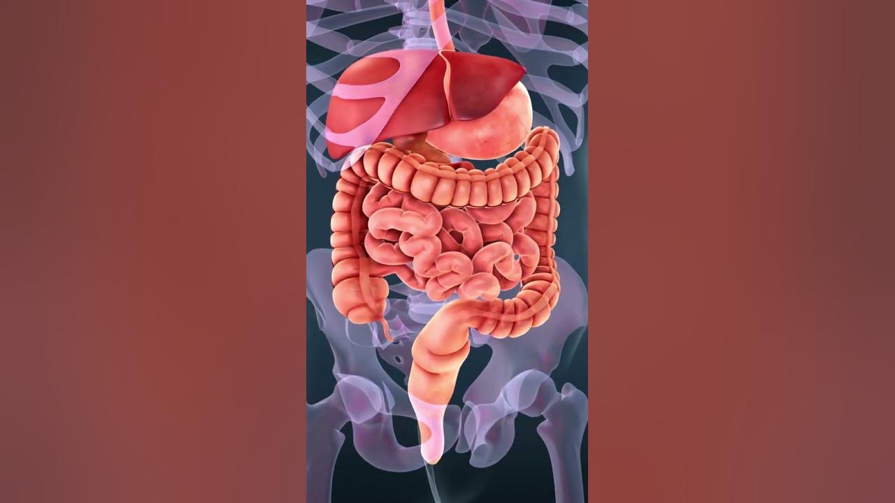 'Video thumbnail for The Sweet Truth about Plums: How this Fruit Benefits Your Health #shorts'