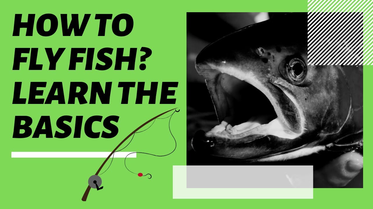 'Video thumbnail for How To Fly Fish: Learn the Basics of Fly Fishing'