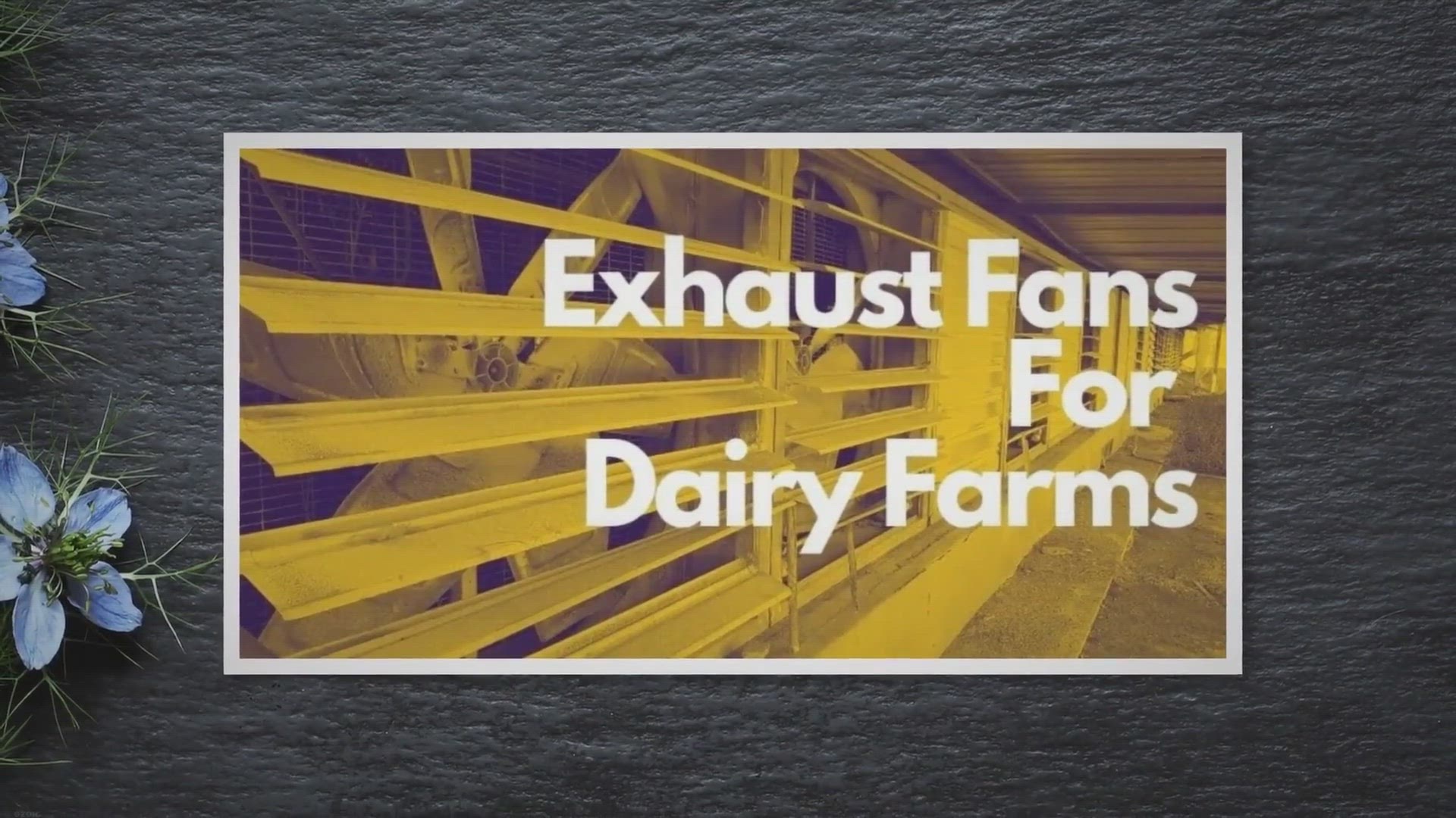 Video thumbnail for Top Exhaust Fans For Dairy Farms