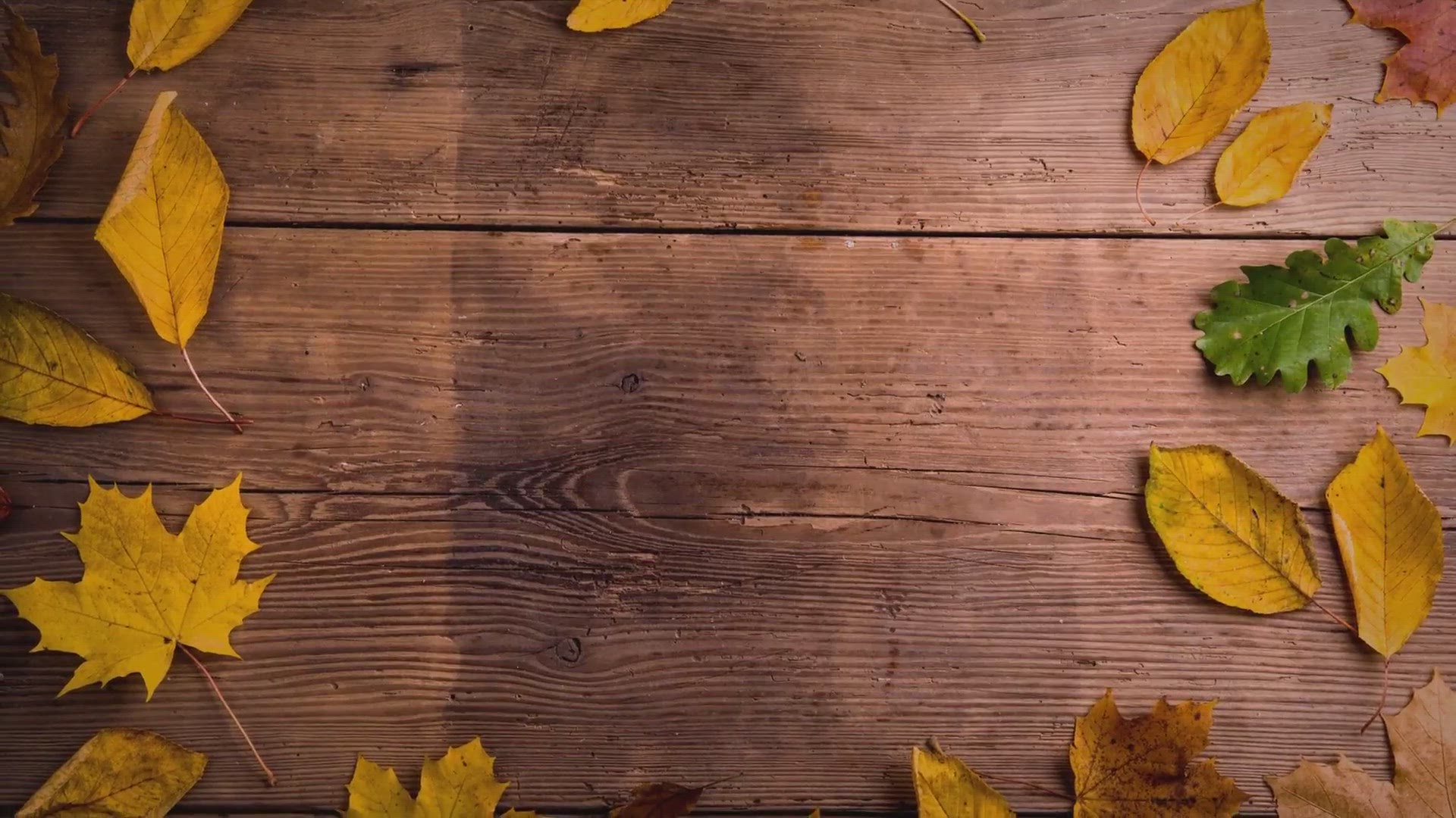 Video thumbnail for Carbide Woodturning Tools For The Beginner