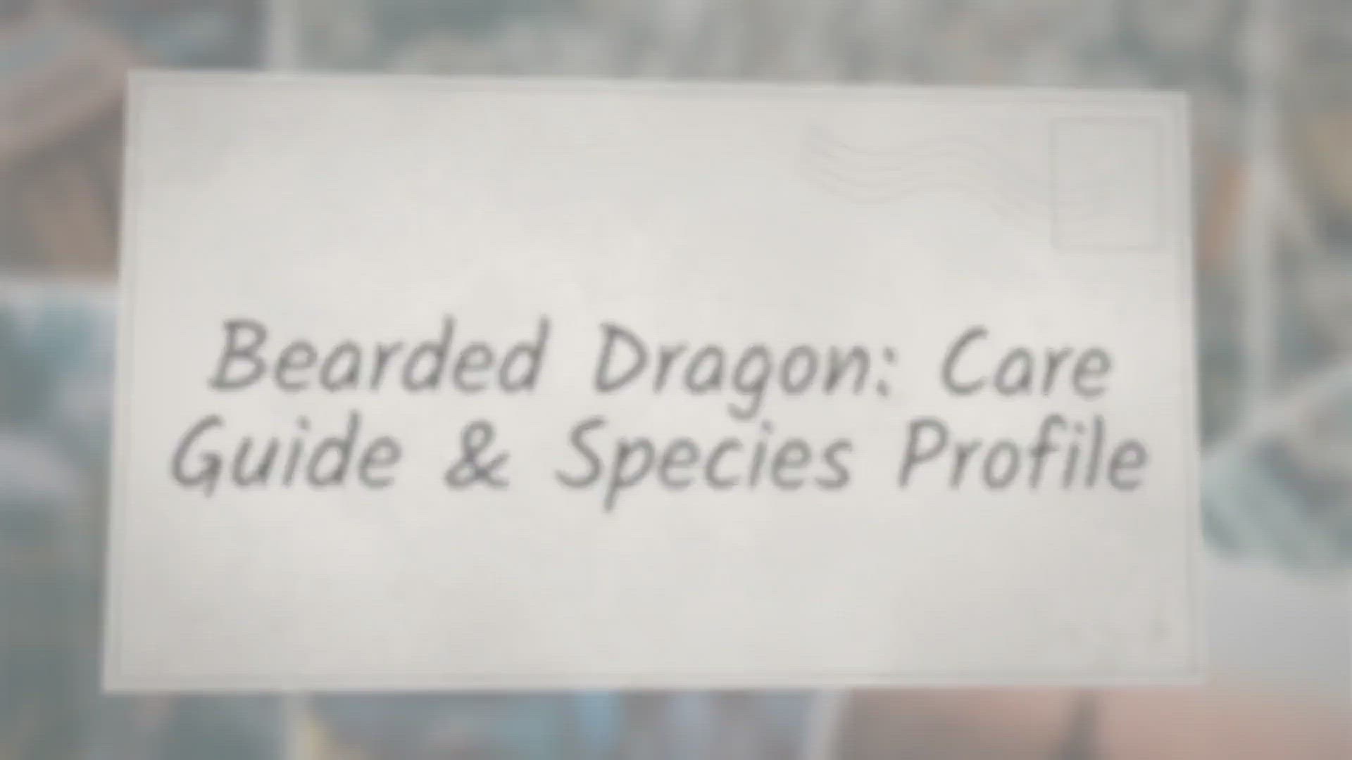 Video thumbnail for Bearded Dragon: Care Guide & Species Profile