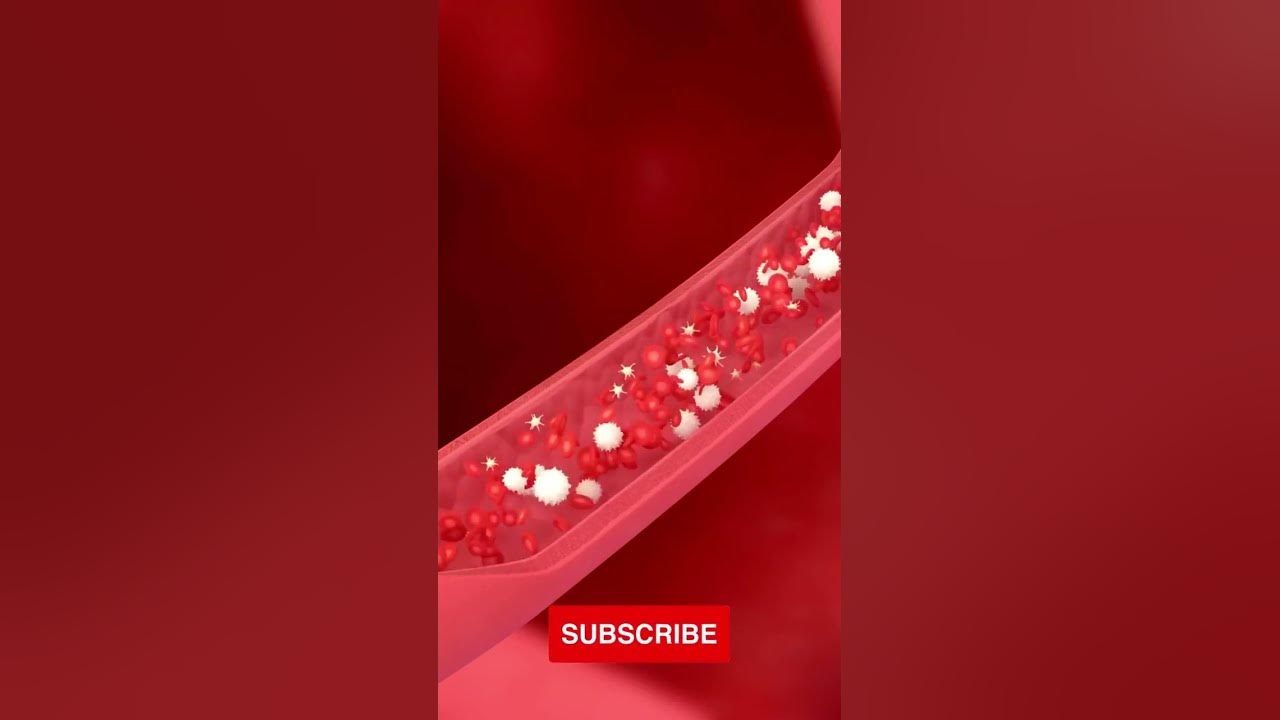 'Video thumbnail for Not All Antioxidants Are Created Equal: The Health Benefits of Lycopene #shorts'