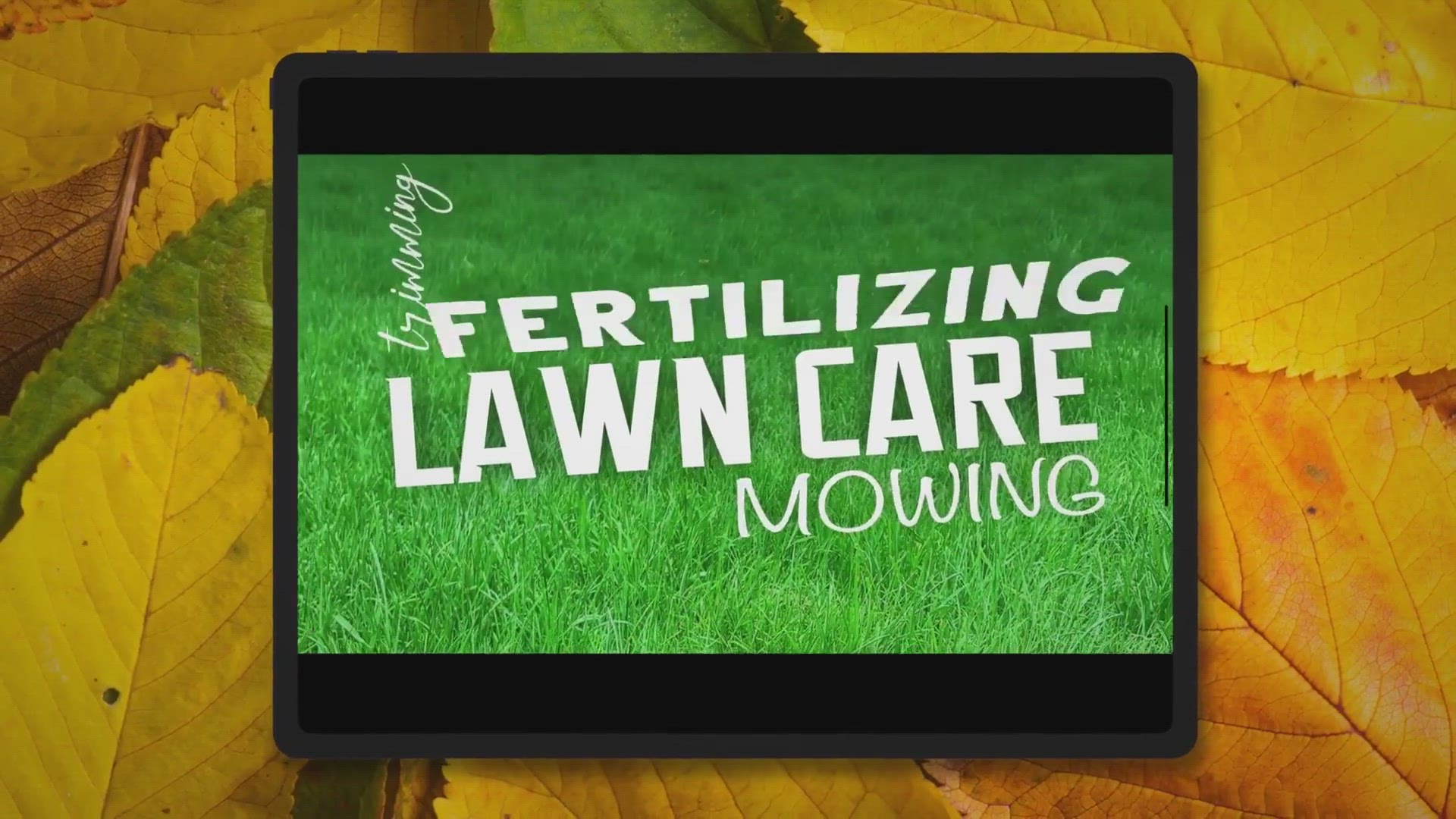 Video thumbnail for Month-by-Month Lawn Care Calendar & Schedule (August 2022) Lawn Phix
