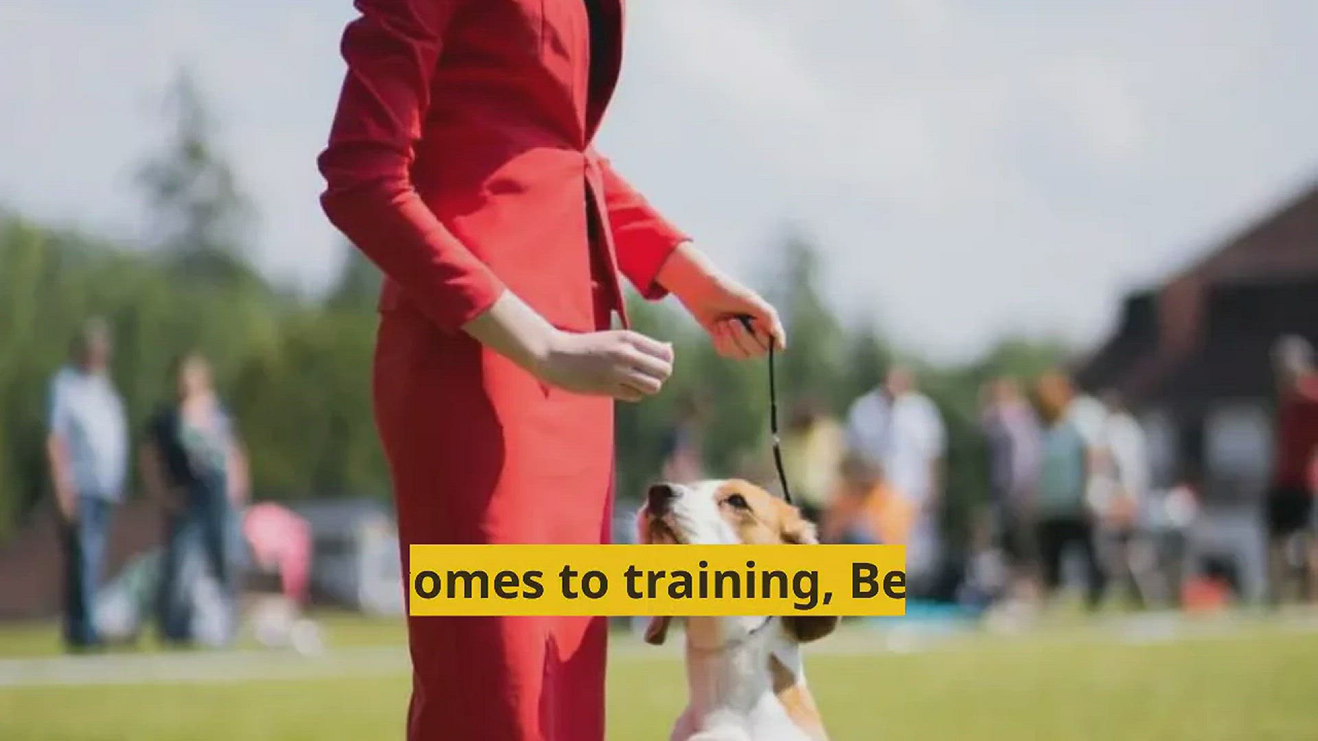 Video thumbnail for How Hard Is It To Train A Beagle?