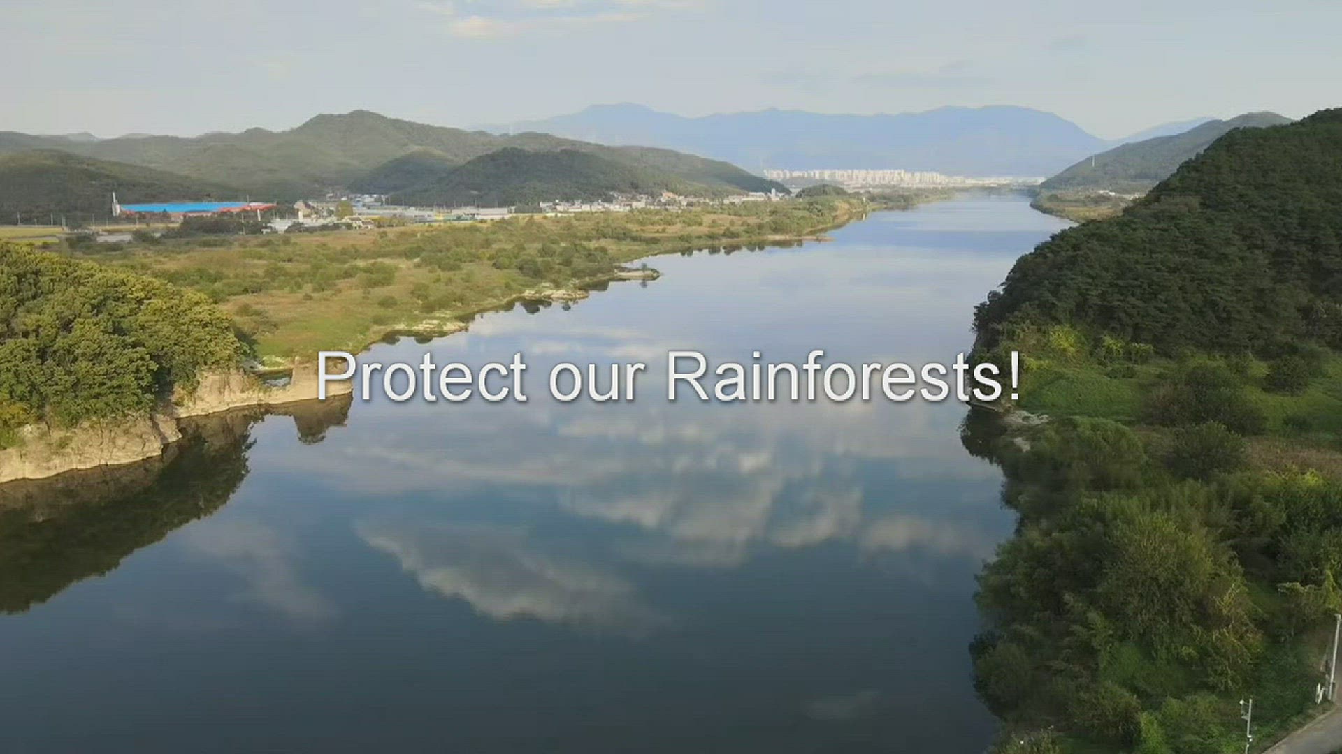 'Video thumbnail for Protect our Rainforests!'