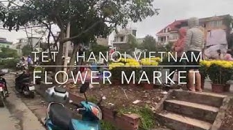 'Video thumbnail for Flower Market During TET (Lunar New Year)  - Hanoi Vietnam - An Insiders Guide'