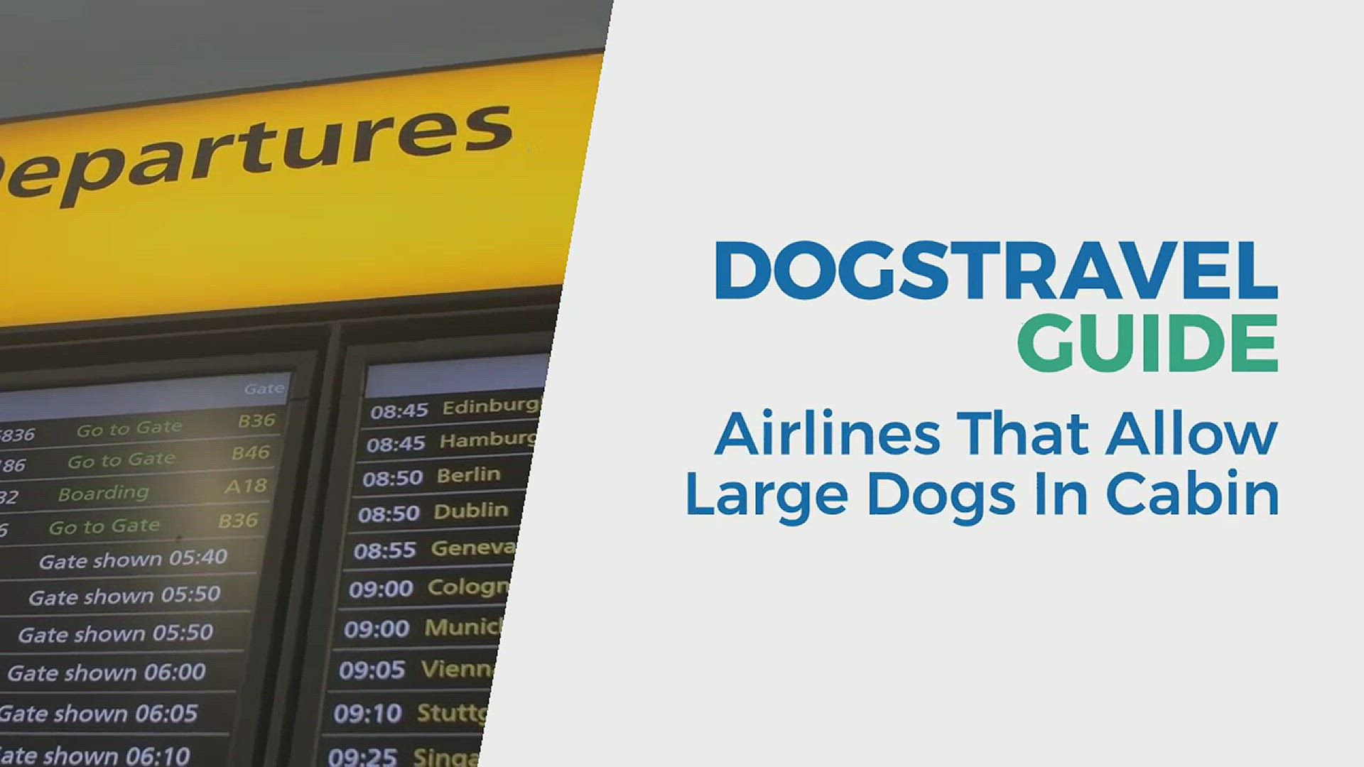 Video thumbnail for Airlines that allows large dogs in cabin