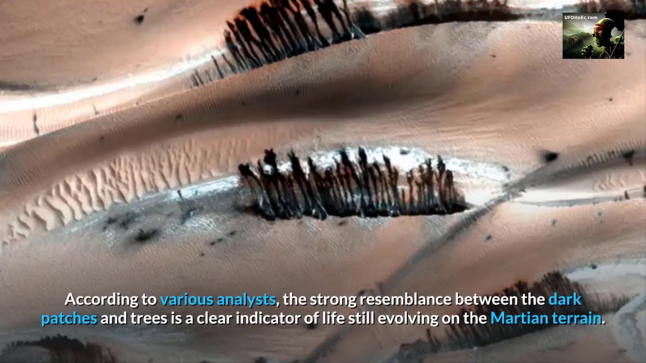 'Video thumbnail for Trees Spotted on Mars Reveal Massive NASA Cover Up'