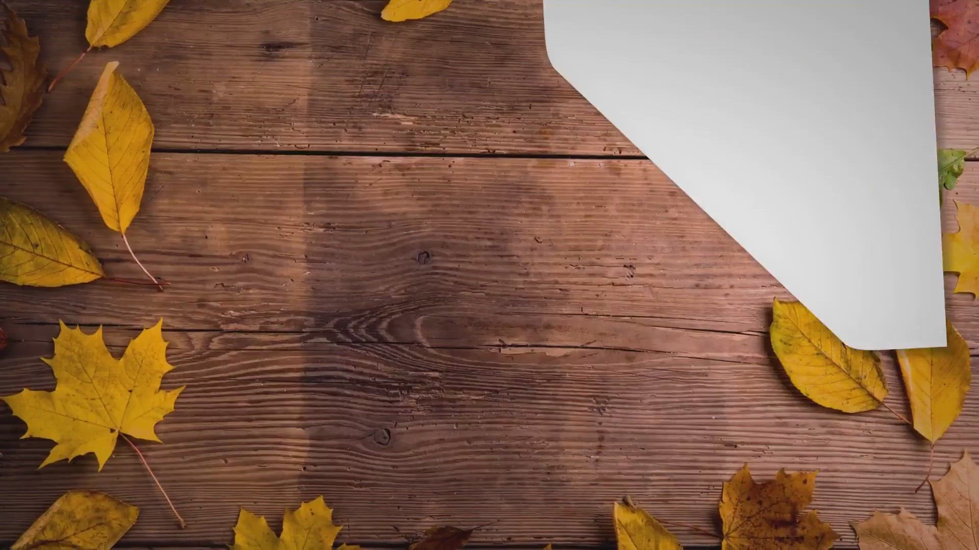 Video thumbnail for Best Hoof Supplements For Barefoot Horses