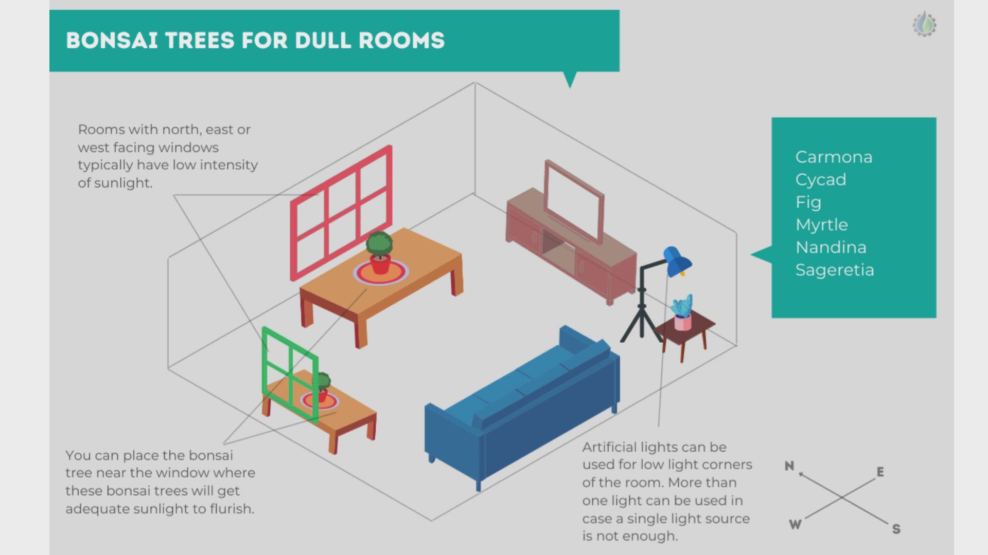 Video thumbnail for sunlight for bonsai trees
