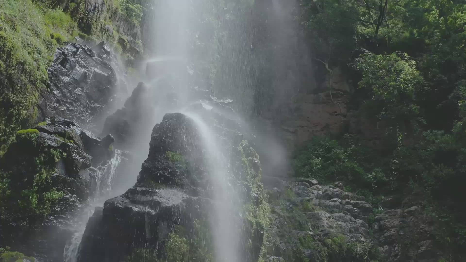'Video thumbnail for Natural'