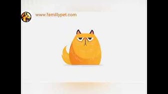 'Video playlist thumbnail'