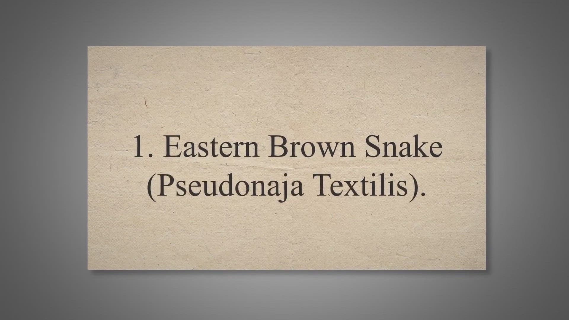 Video thumbnail for 10 Most Venomous Snakes In The World