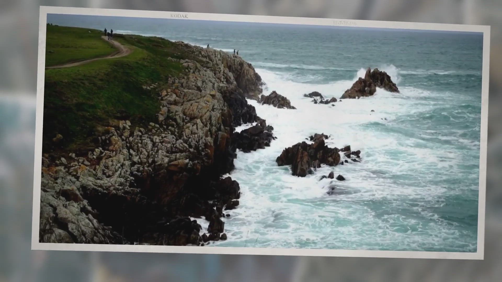 Video thumbnail for Opilio Crab