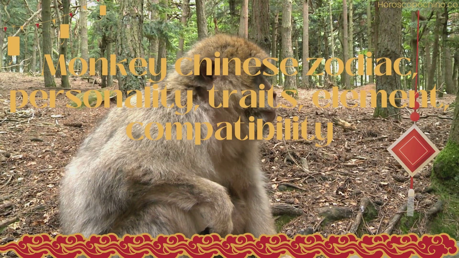 'Video thumbnail for Monkey chinese zodiac, personality, traits, element, compatibility'