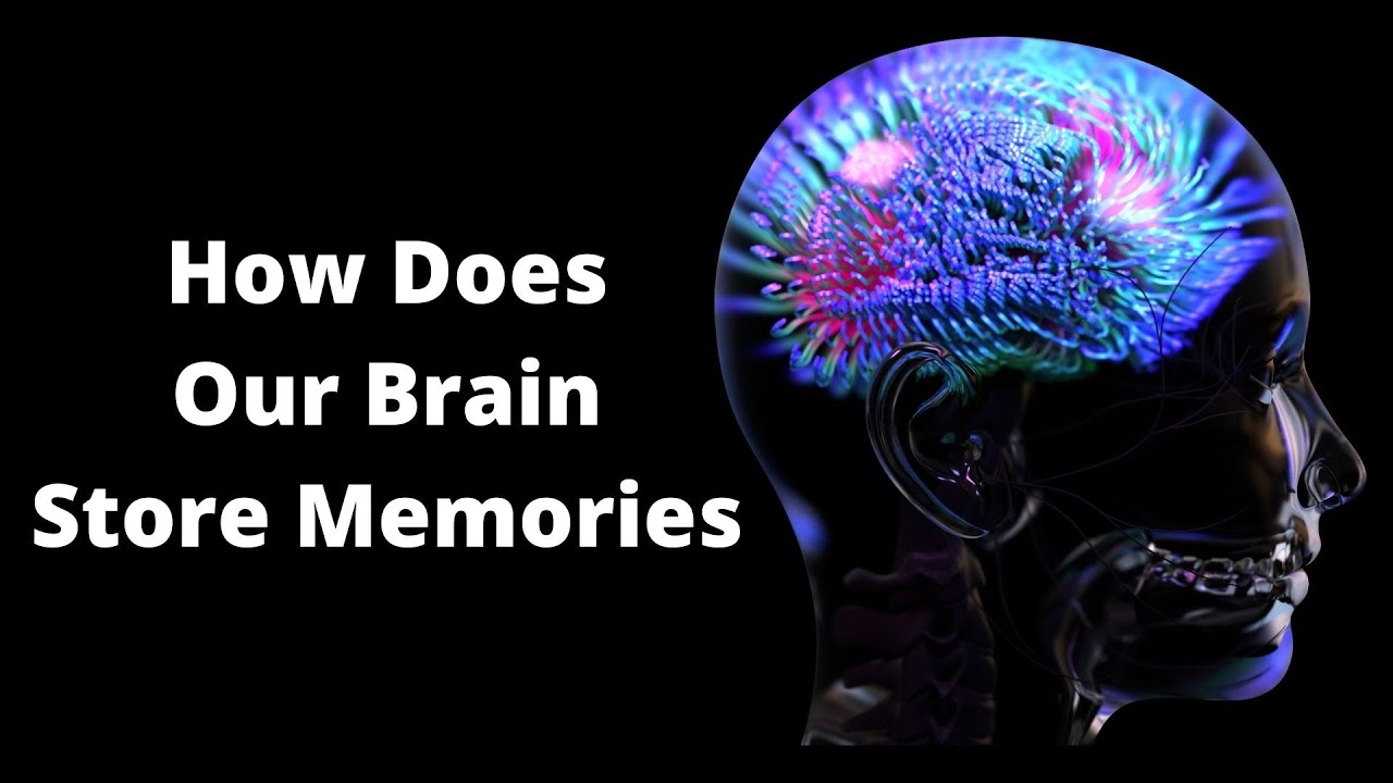 'Video thumbnail for How Memory Works The Secrets Our Brain Keeps'