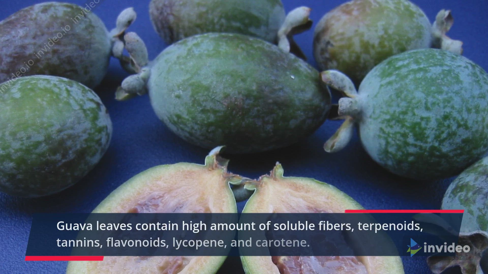 Video thumbnail for Health Benefits Of Guava Leaves For Weight Loss